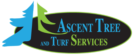 Ascent Tree and Turf Services
